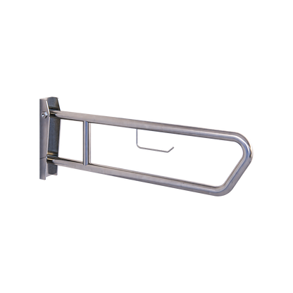 Drop Down Grab Rail & TPH SS