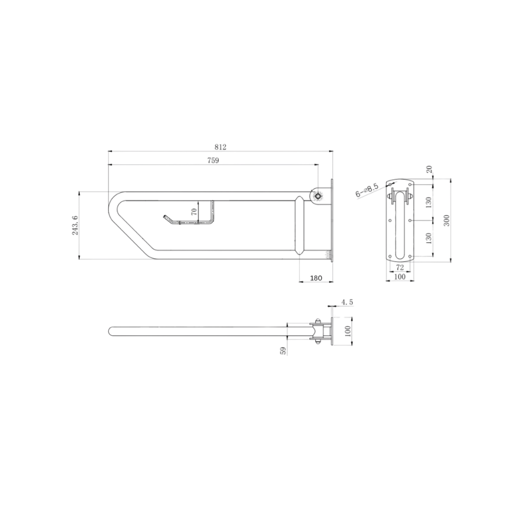 Click- Lock Drop Down Grab Rail with Toilet Roll Holder, Polished Stainless Steel