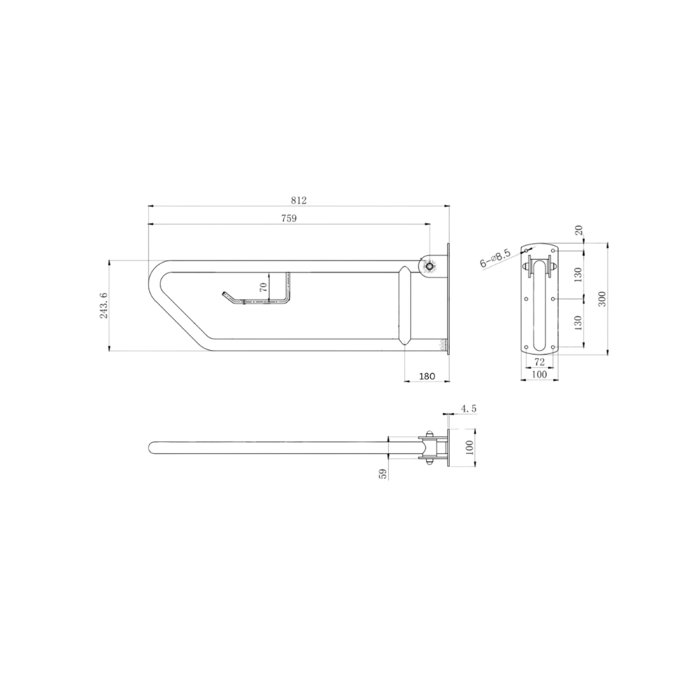 Click- Lock Drop Down Grab Rail with Toilet Roll Holder, Satin Stainless Steel