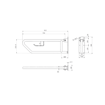 Click- Lock Drop Down Grab Rail with Toilet Roll Holder, Satin Stainless Steel