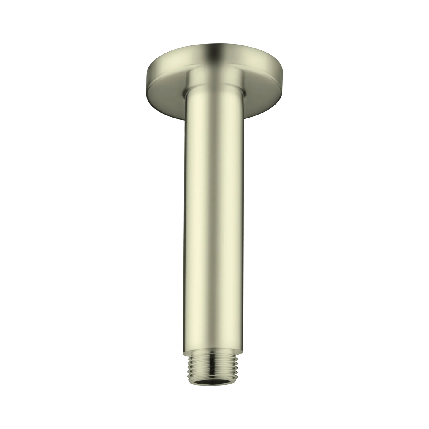Round Ceiling Arm 100mm Length Brushed Gold
