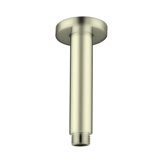 Round Ceiling Arm 100mm Length Brushed Gold