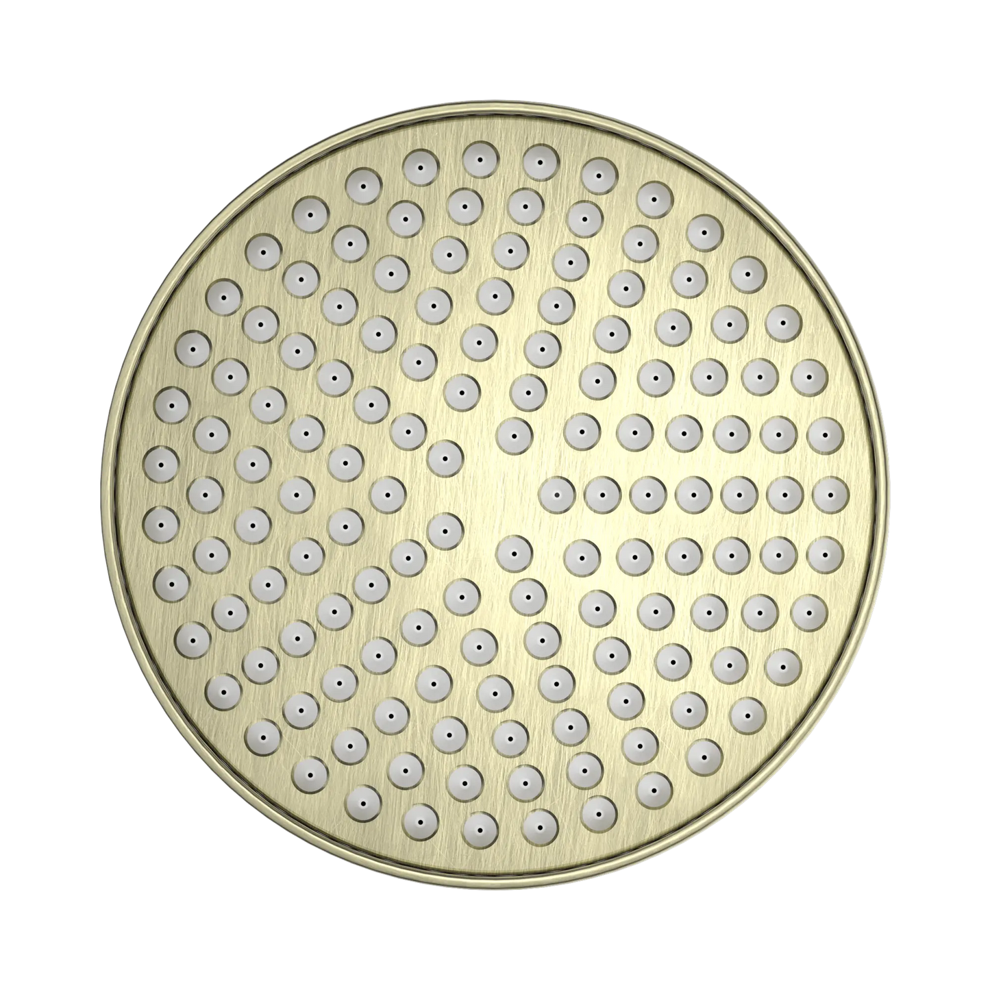 York 200mm Shower Head Aged Brass