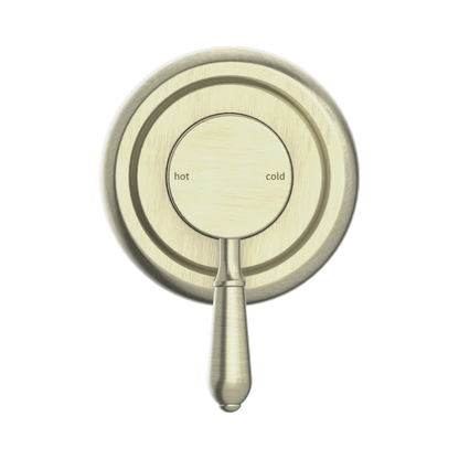 York Shower Mixer With Metal Lever Aged Brass