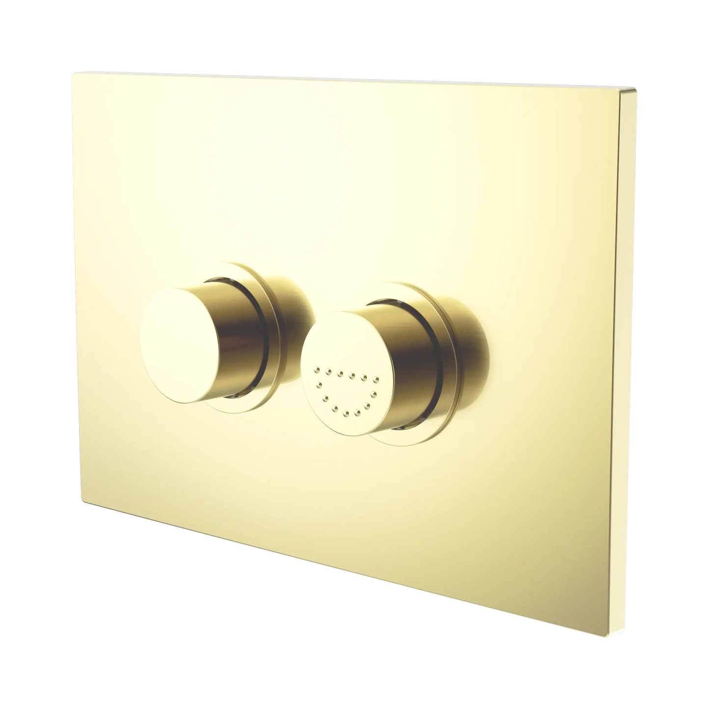 Mecca Care Raised Disabled Care Pneumatic Flush Buttons Plate DDA Accessible Toilet Compliant Brushed Gold