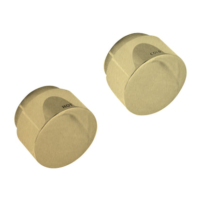 Loui Twin Shower with Rail Set - Brushed Gold