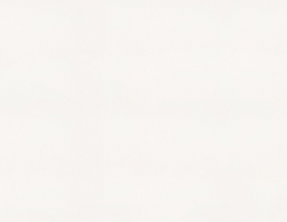 PW-S1210