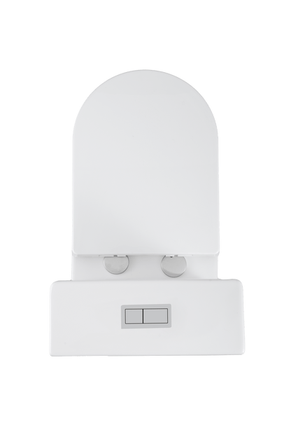 Quay Back To Wall Rimless Toilet Suite