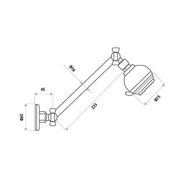 SAT All Directional Shower  - Chrome