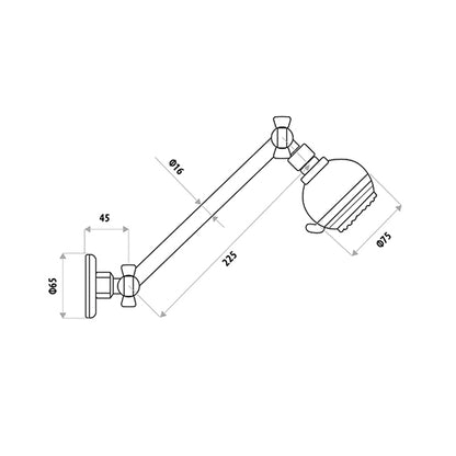 SAT All Directional Shower  - Chrome