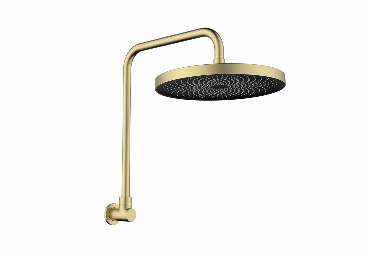 The Gabe Gooseneck Wall Shower Arm & 260mm Head - Brushed Gold