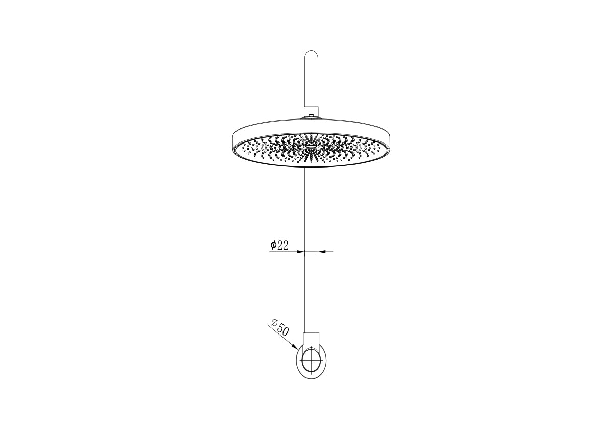 The Gabe Gooseneck Wall Shower Arm & 260mm Head  - Brushed Nickel
