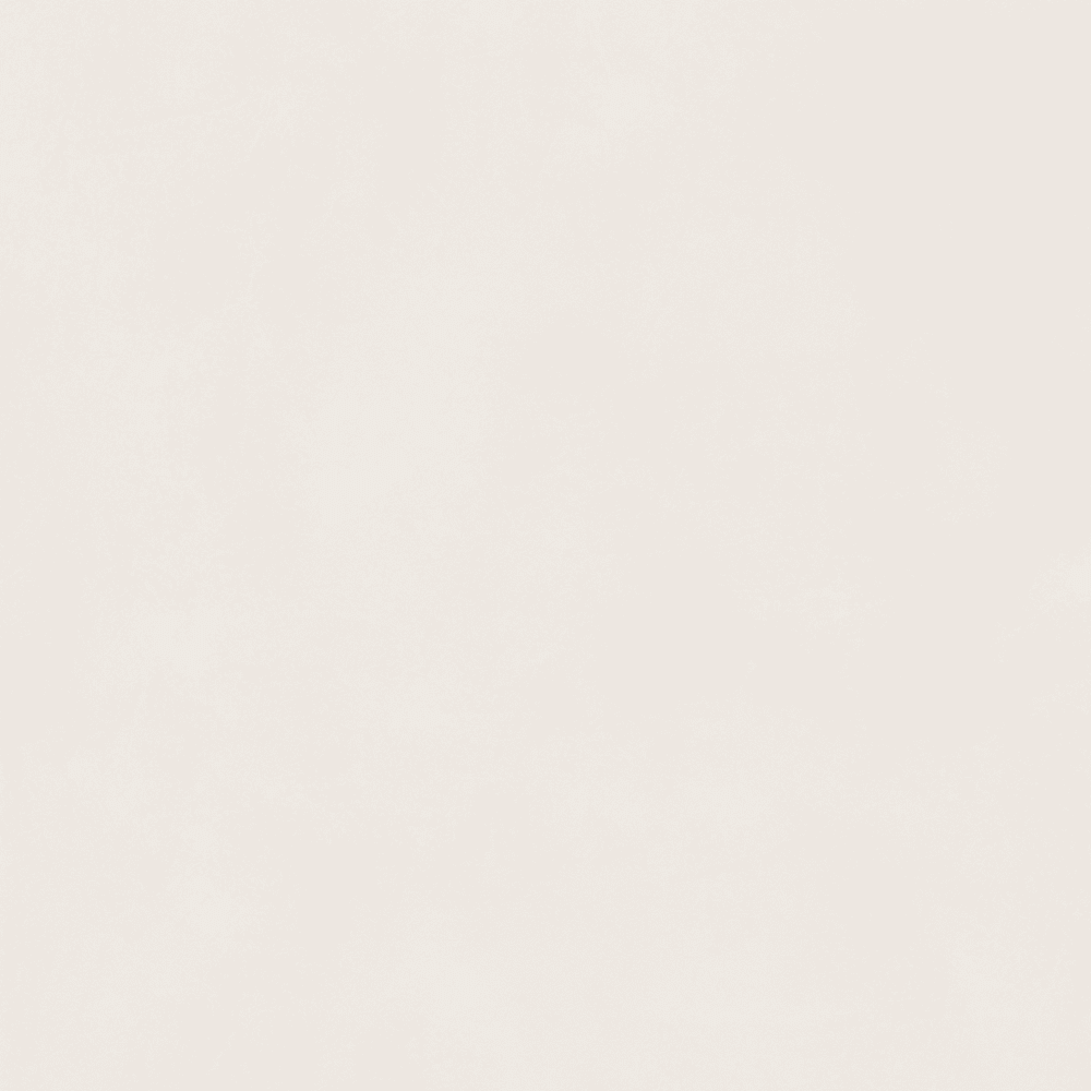 KOLOR SERIES - WHITE SMOOTH MATT Finish - 300X600 | 1.44 SQM / 8 PCS PER BOX