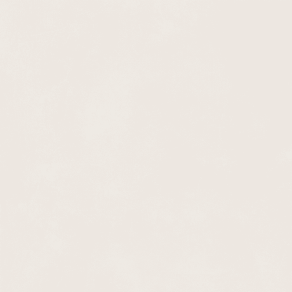 KOLOR SERIES - WHITE SMOOTH MATT Finish - 300X600 | 1.44 SQM / 8 PCS PER BOX