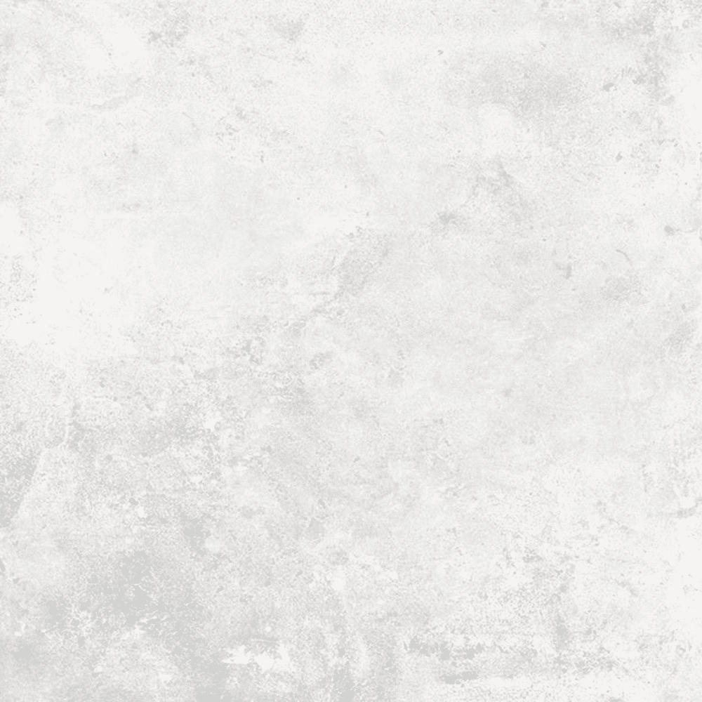 FIND SERIES - LIGHT GREY HONED Finish - 600X1200 | 1.44 SQM / 2 PCS PER BOX