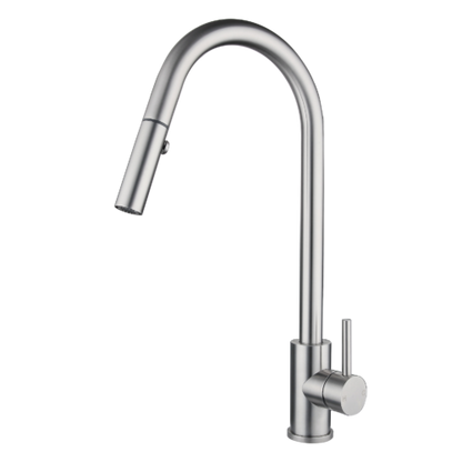 XACTA    Stainless Steel Gooseneck XPRESSFIT retractable dual spray mixer Satin