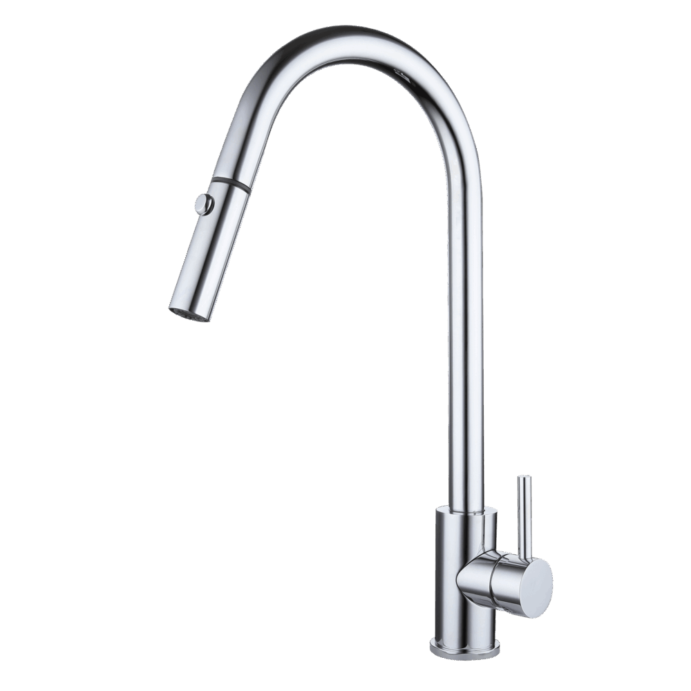XACTA Stainless Steel Gooseneck XPRESSFIT retractable dual spray mixer Polished