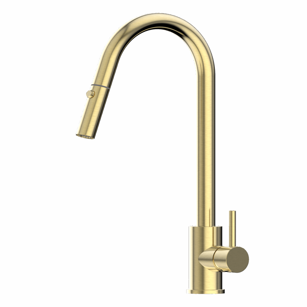 XACTA Stainless Steel Gooseneck XPRESSFIT retractable dual spray mixer Brushed Gold