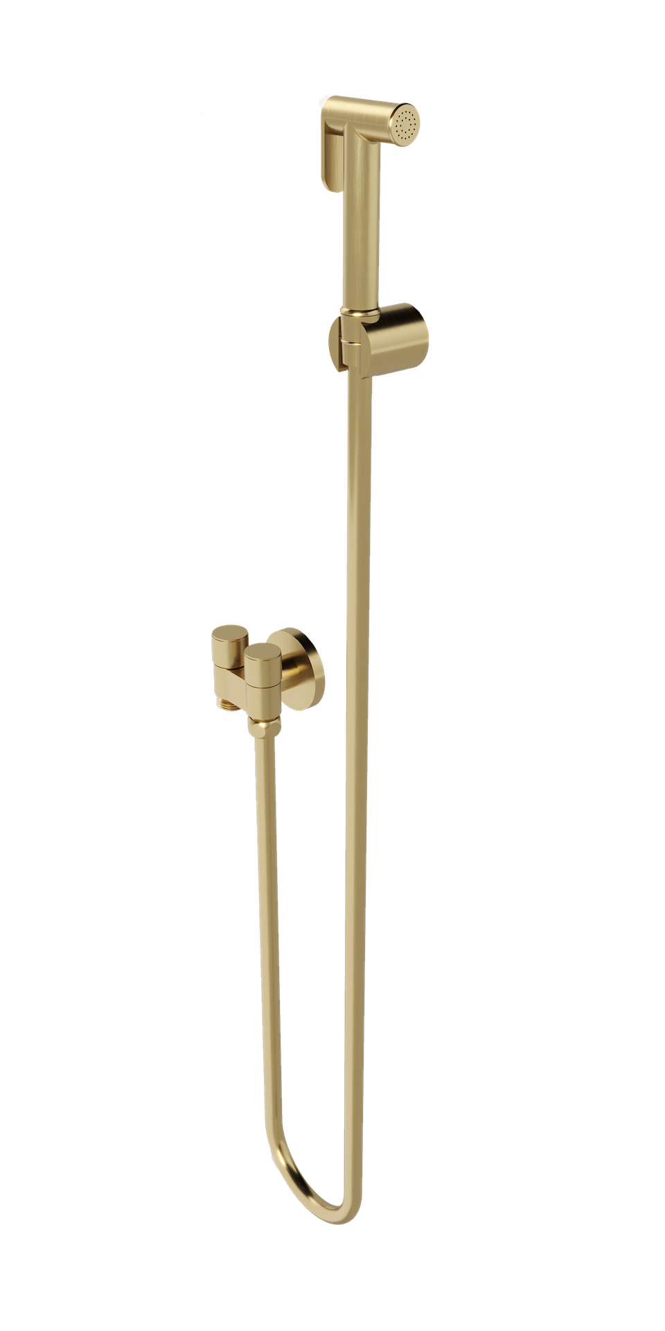 Zarah Bidet/Douche Spray with Dual Controller - Brushed Brass