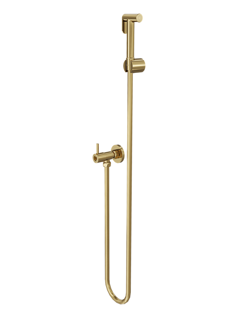 Zarah Bidet/Douche Spray with Single Controller - Brushed Brass