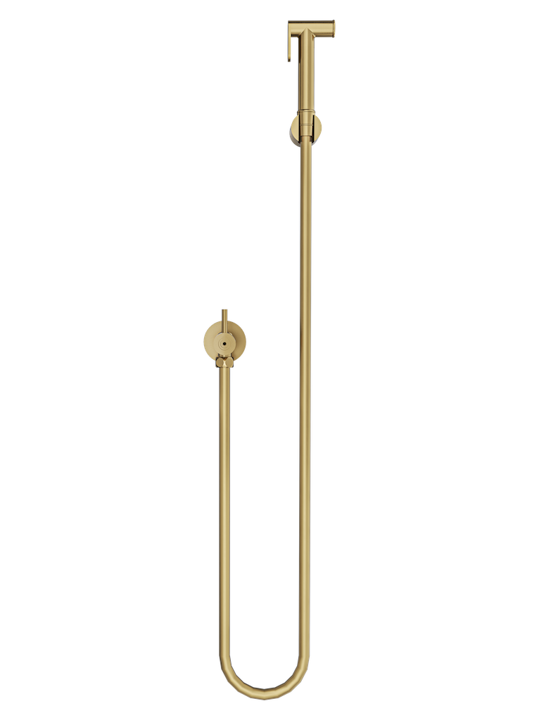 Zarah Bidet/Douche Spray with Single Controller - Brushed Brass