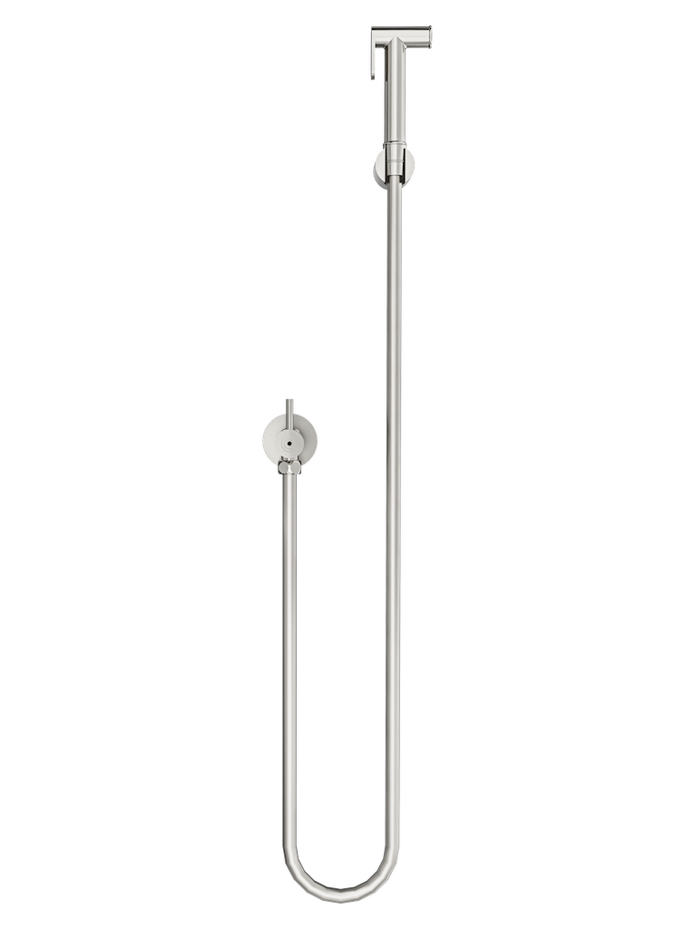 Zarah Bidet/Douche Spray with Single Controller - Brushed Nickel