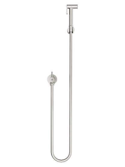 Zarah Bidet/Douche Spray with Single Controller - Brushed Nickel