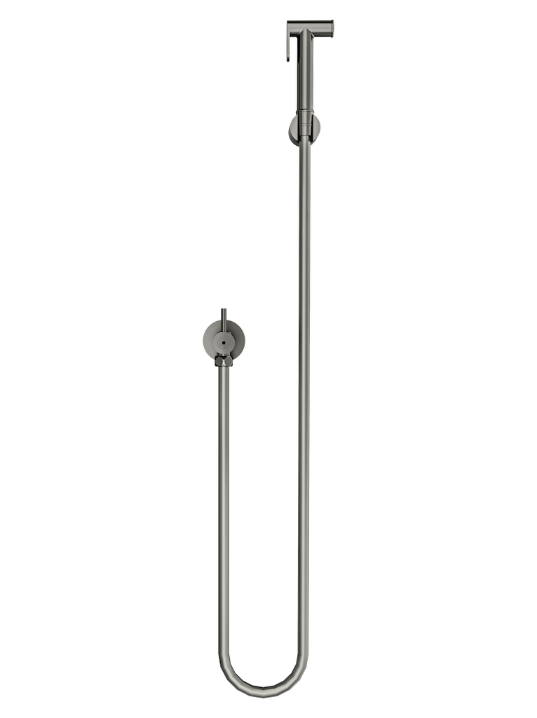 Zarah Bidet/Douche Spray with Single Controller - Gunmetal