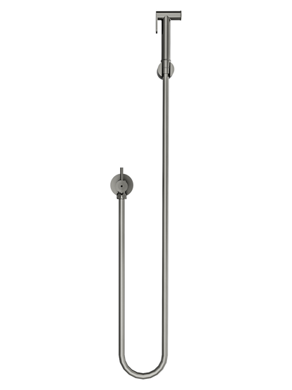 Zarah Bidet/Douche Spray with Single Controller - Gunmetal