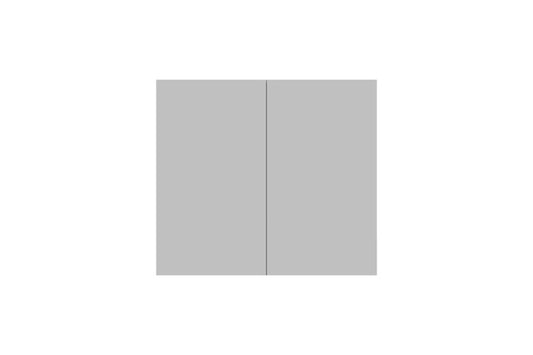 Silk Mirror Cab 900 2D