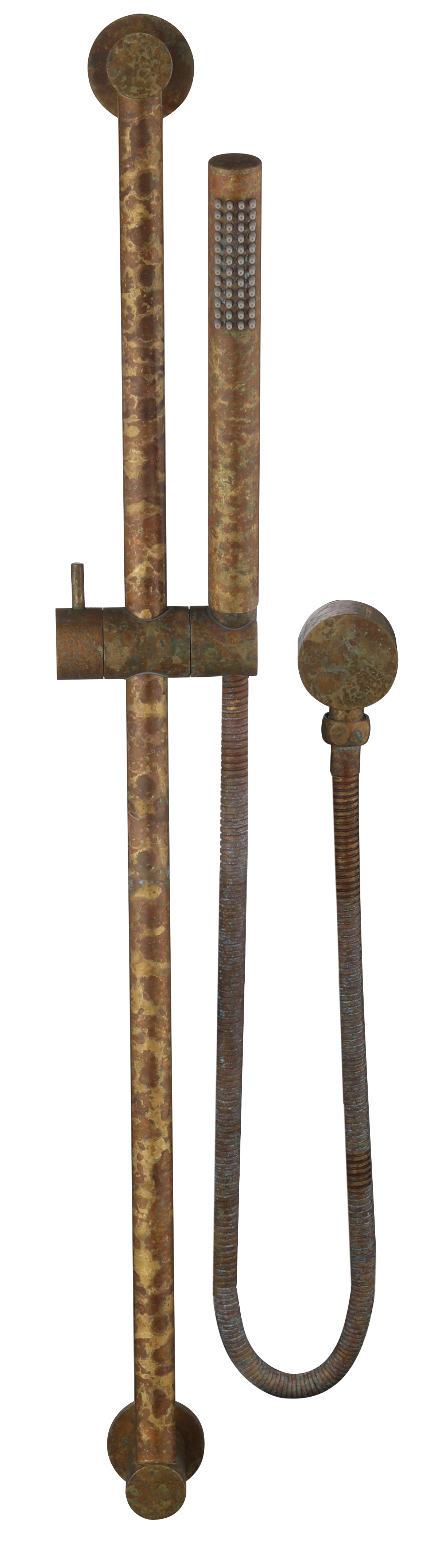Mica Shower Head on Rail Round - Living Brass