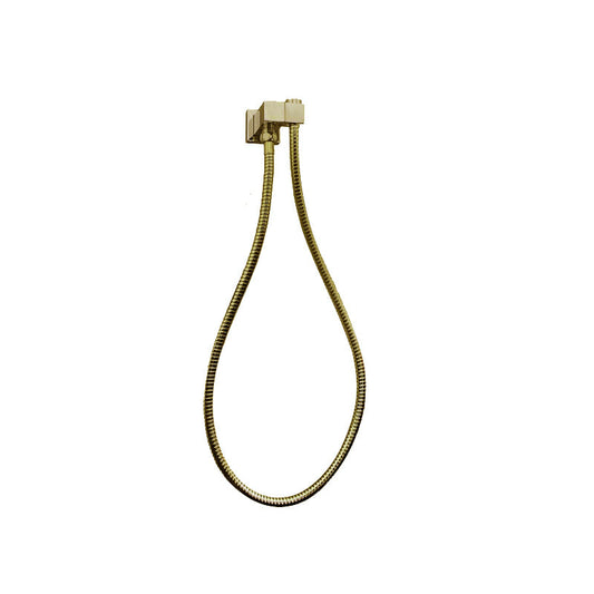 Esperia Brushed Yellow Gold Shower Holder & Connec