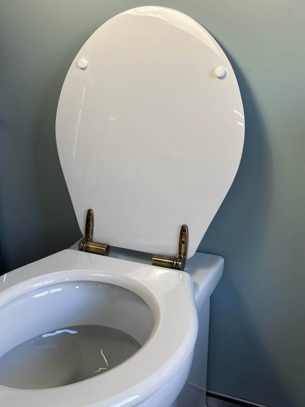 Claremont Floor Mounted Pan with Chrome Hinges, Seat and Pan Bend