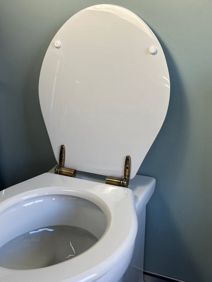 Claremont Floor Mounted Pan, Antique Brass Hinges, Seat And Pan Bend
