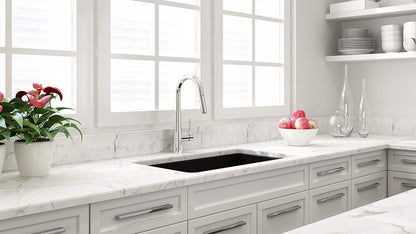 KIT - Cuisine 81x48 Inset / Undermount Fireclay Sink Matte Black with Overflow Incl. Waste