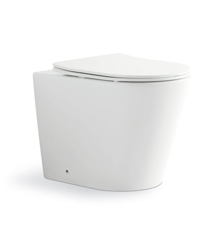 Ceramic Bathroom Rimless Toilet WC Floor Mounted Toilet Seat