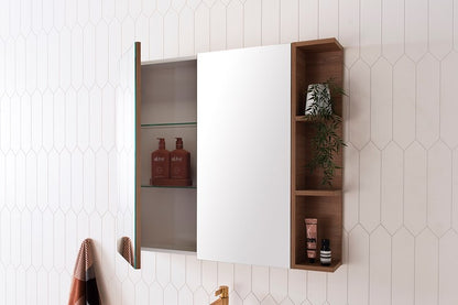 Glacier Pro Shelf Mirror Cab 900 2D S