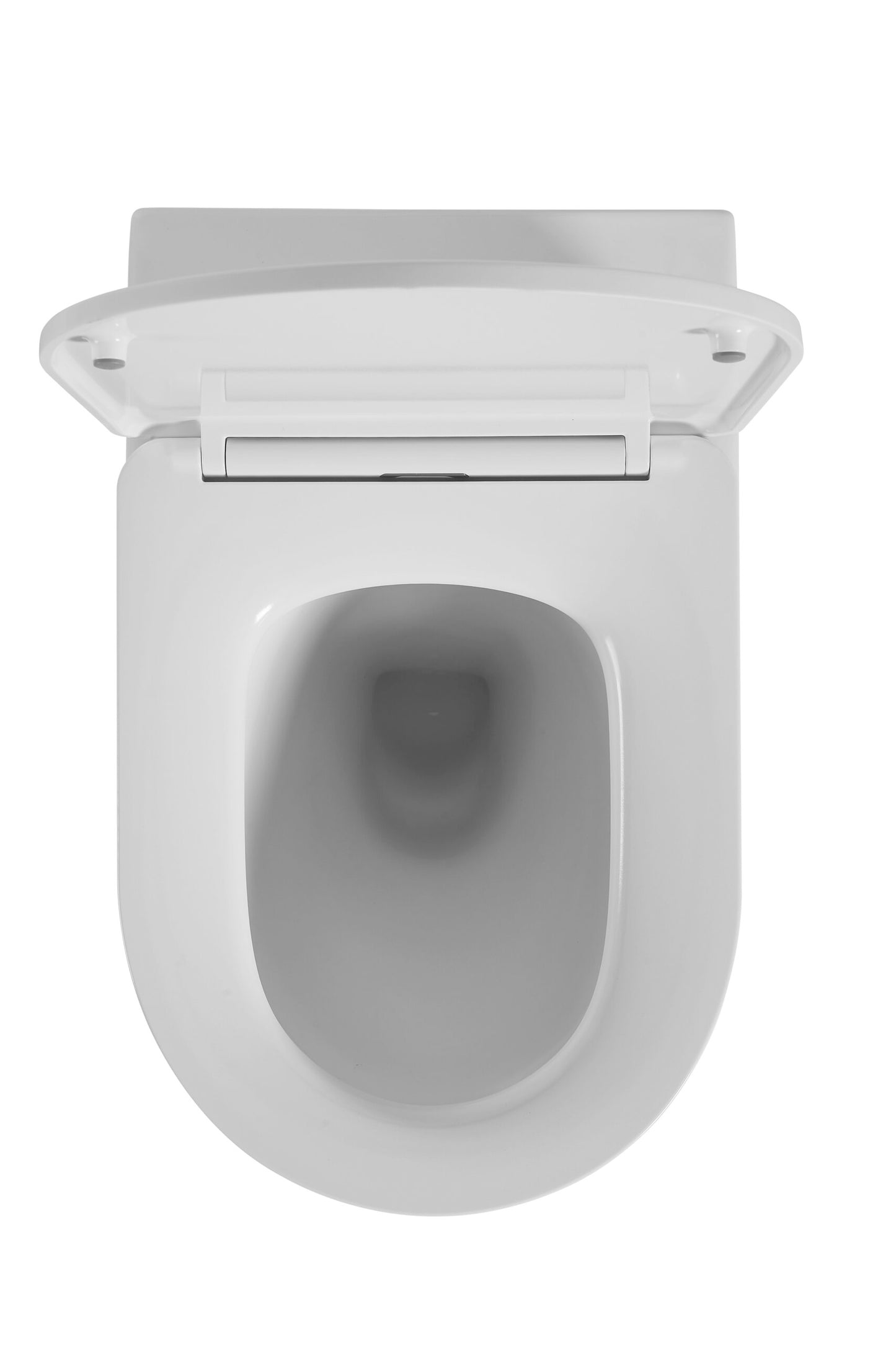 Ajax Rimless Wall Face Pan